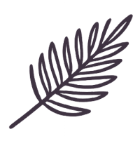 Niedziela Palmowa